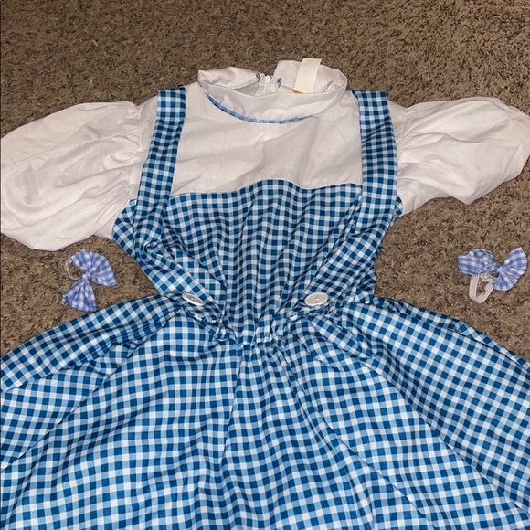 Rubie’s The Wizard of Oz  Dorothy Halloween Blue and White Gingham Costume Dress - Picture 4 of 7